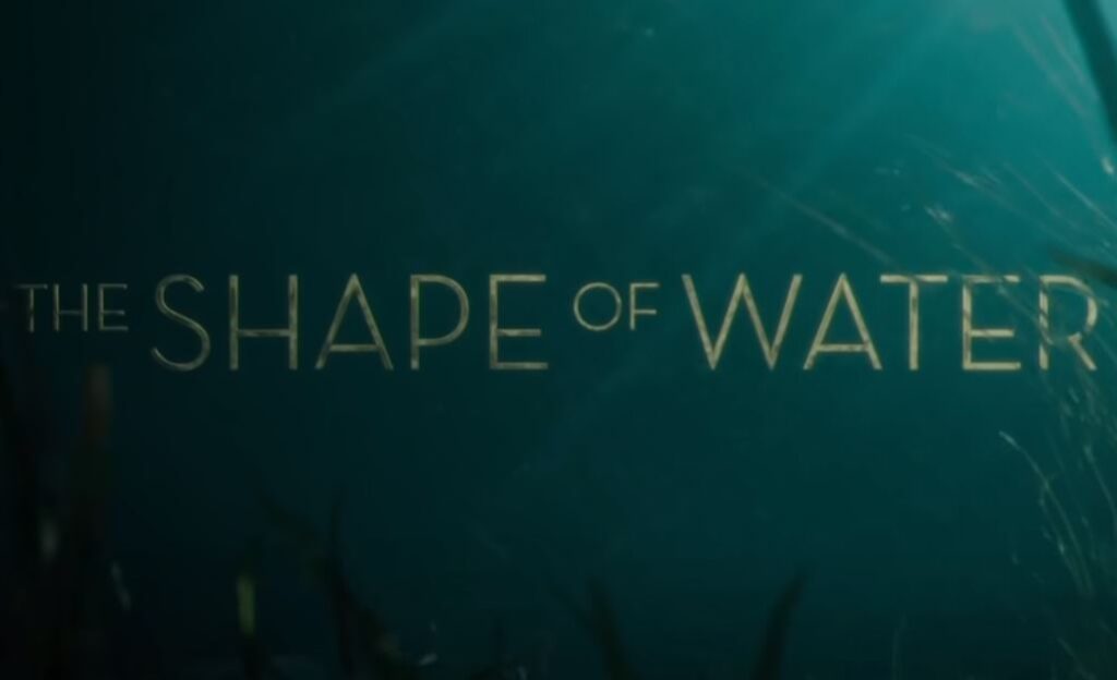 The Shape of water